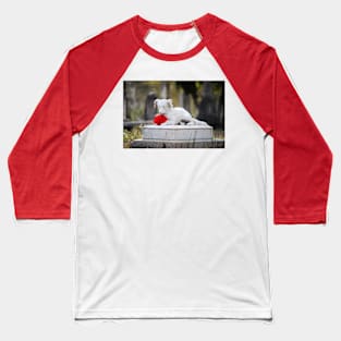 Dog Tombstone With Red Flower Baseball T-Shirt